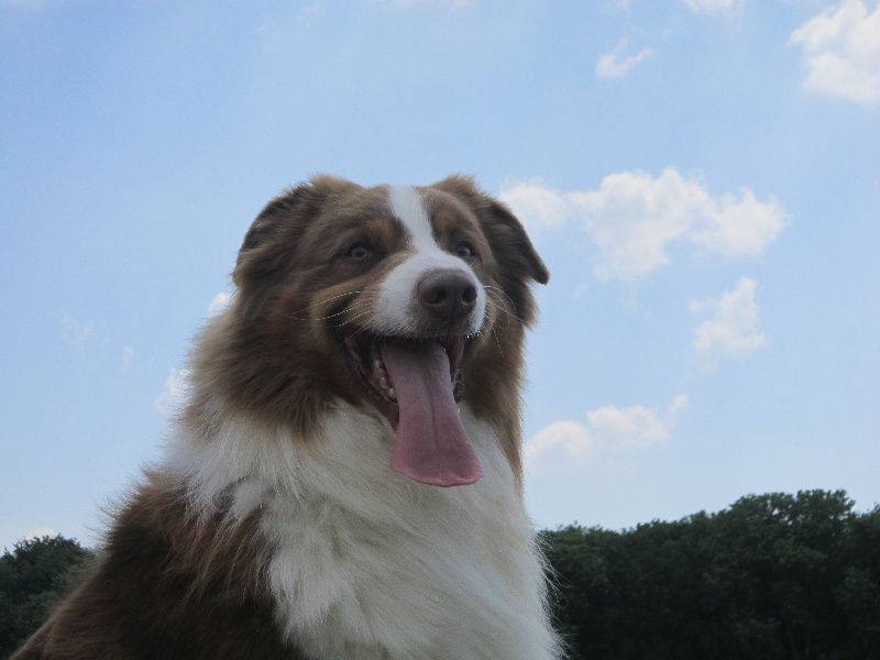 Gun du Domaine de Naugigoutte